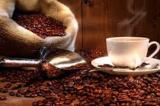 Ученые создали метод для проверки качества кофе