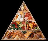 Սննդակարգի հիմնական սկզբունքները