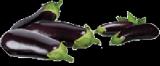 Սմբուկ (բադրիջան) баклажан, Solanum melongena L.