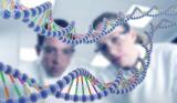 Ученые обнаружили 12 новых генов, связанных с нарушениями развития