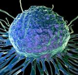 В раковых клетках научились проделывать отверстия