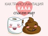 Трансплантация кала: что это и зачем?