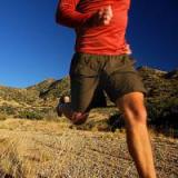 Открытие ученых поможет спасти мышцы в старости