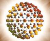 Нанотерапия улучшит лечение сахарного диабета 1 типа