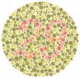 Ген для лечения дальтонизма открыт и использован