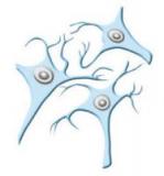Главный белок болезни Альцгеймера имеет сообщника