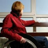 Системы организма дадут отпор рассеянному склерозу