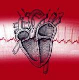 Ученые пытаются предотвратить внезапную остановку сердца