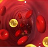 Ученые нашли новый поход для улучшения уровней холестерина