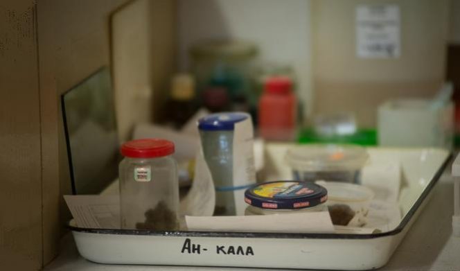 анализ кала