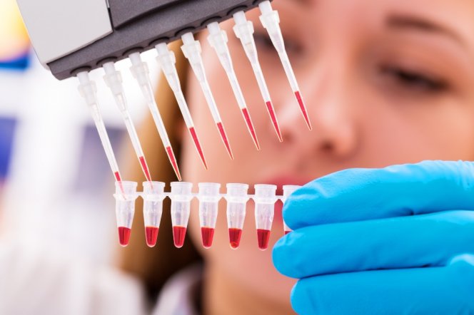  стволовые клетки