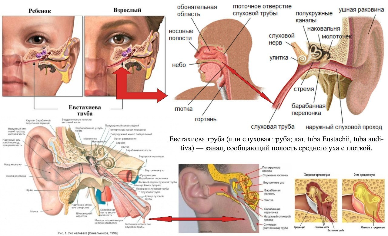 Как приготовить раствор для промывания носа?
