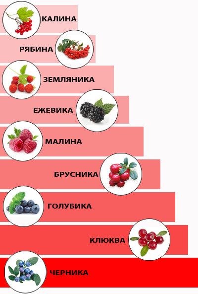  радиационные ягоды 